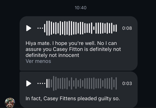Instagram DM — initial request to Luke Dyson + audio reply confirming "Casey Fitton is definitely not innocent"